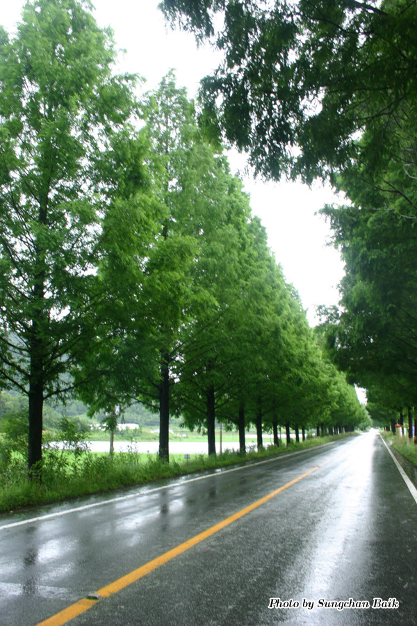 576_7649.jpg