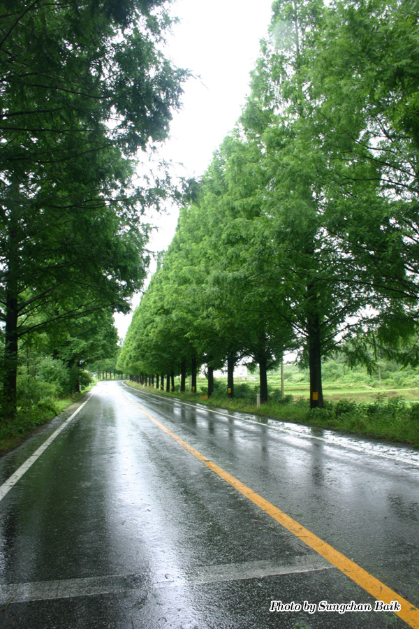 576_7648.jpg