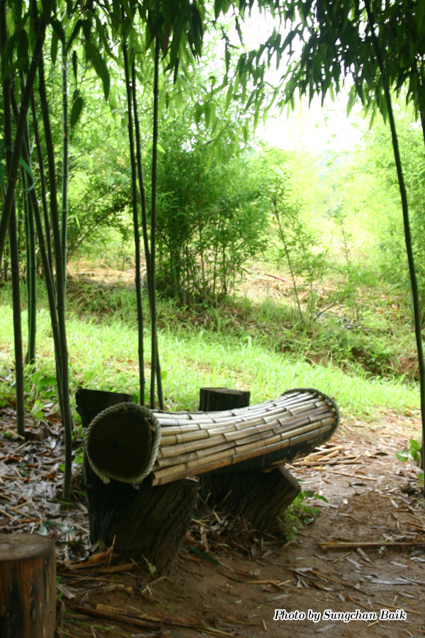 576_7680.jpg