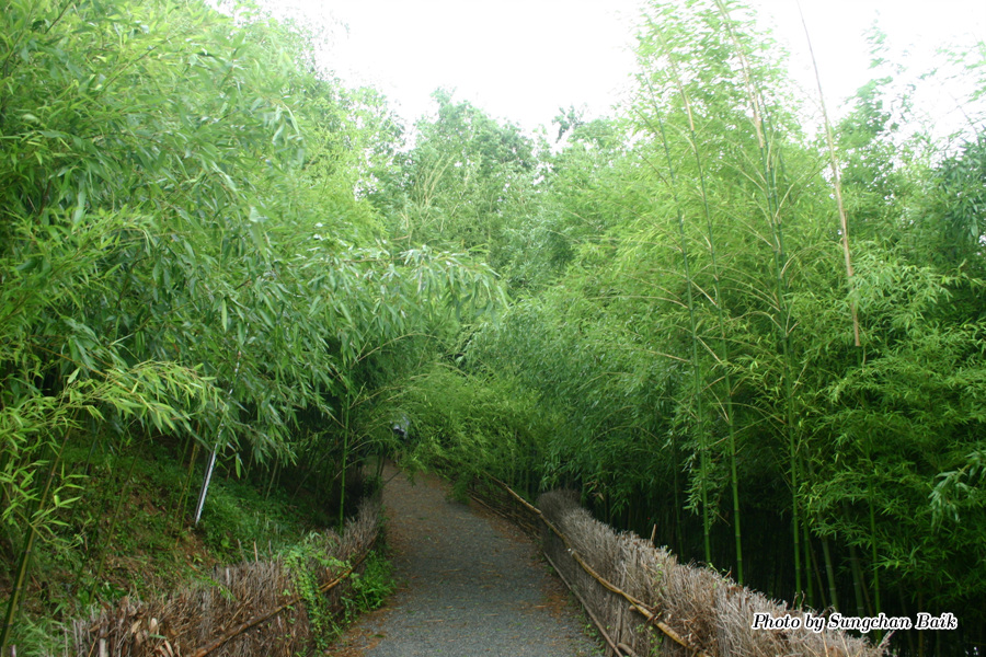 576_7681.jpg