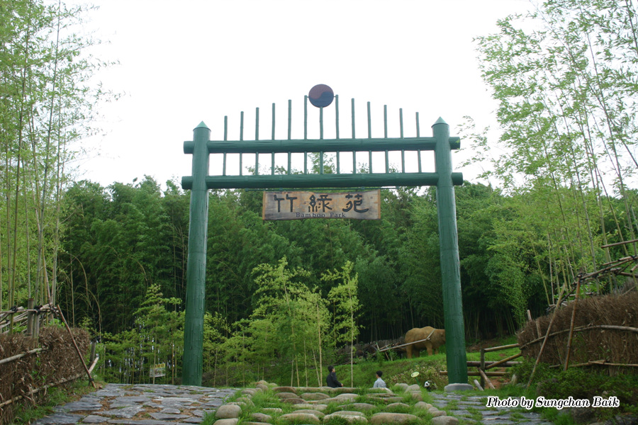 576_7679.jpg