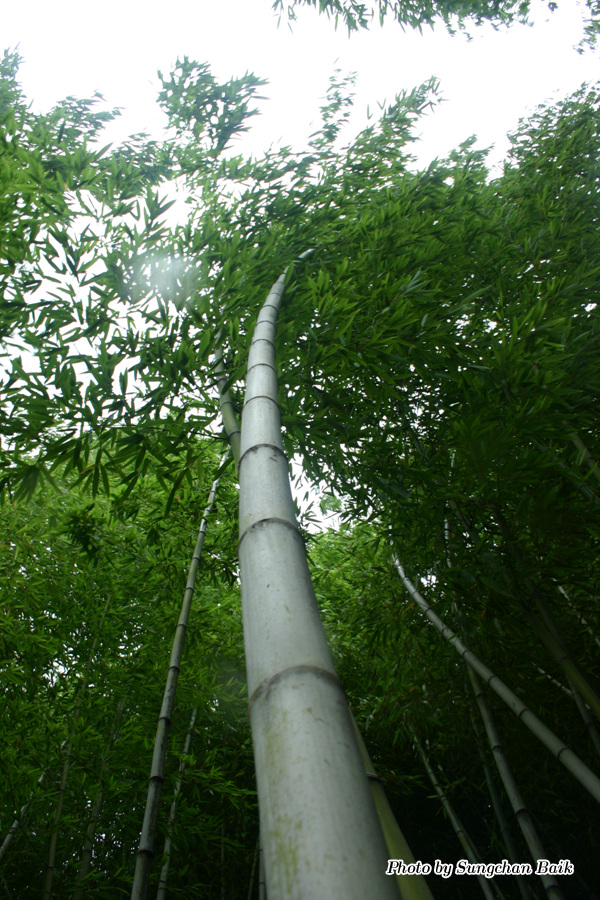 576_7683.jpg