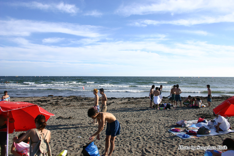 IMG_9785.jpg