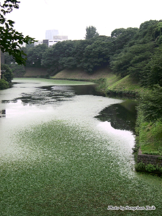 DSCN3285.jpg