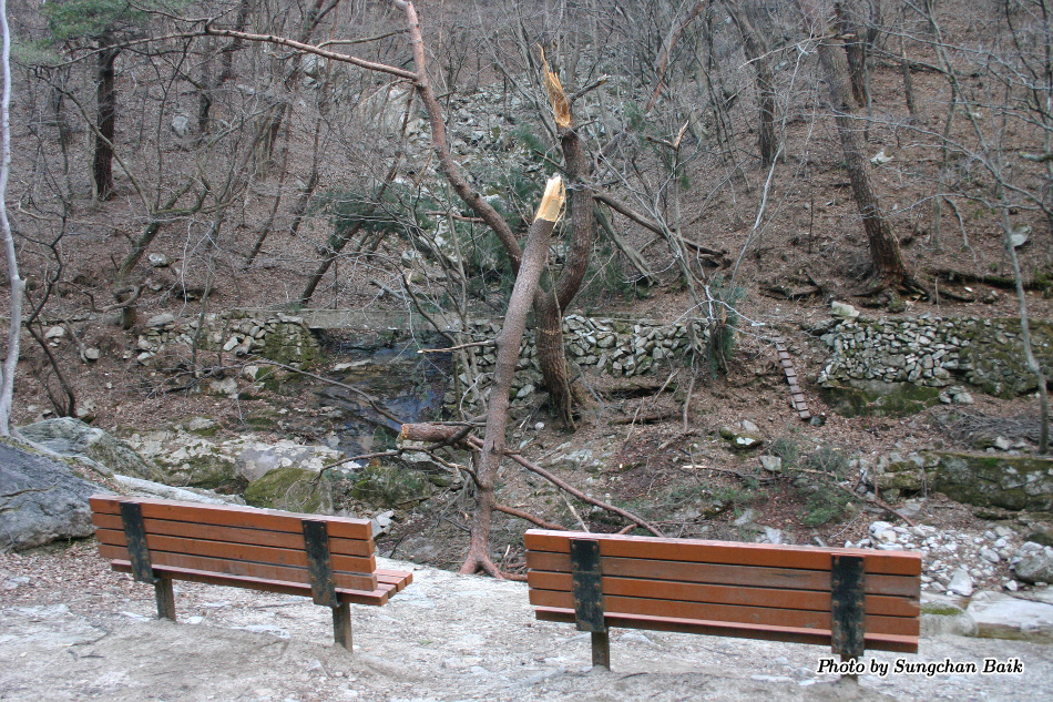 150_5039.jpg