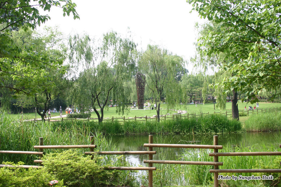 391_9132.jpg
