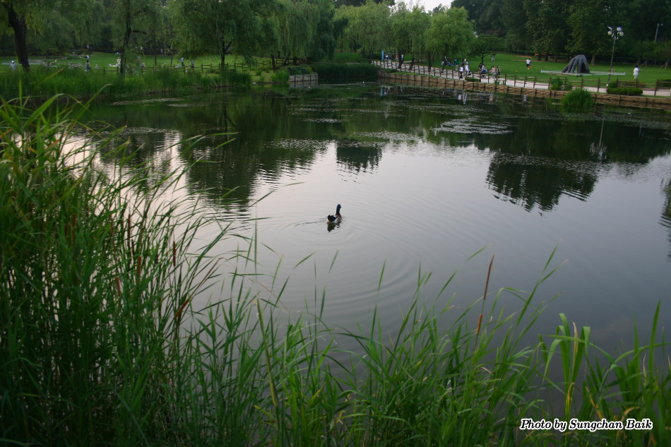 567_6750.jpg
