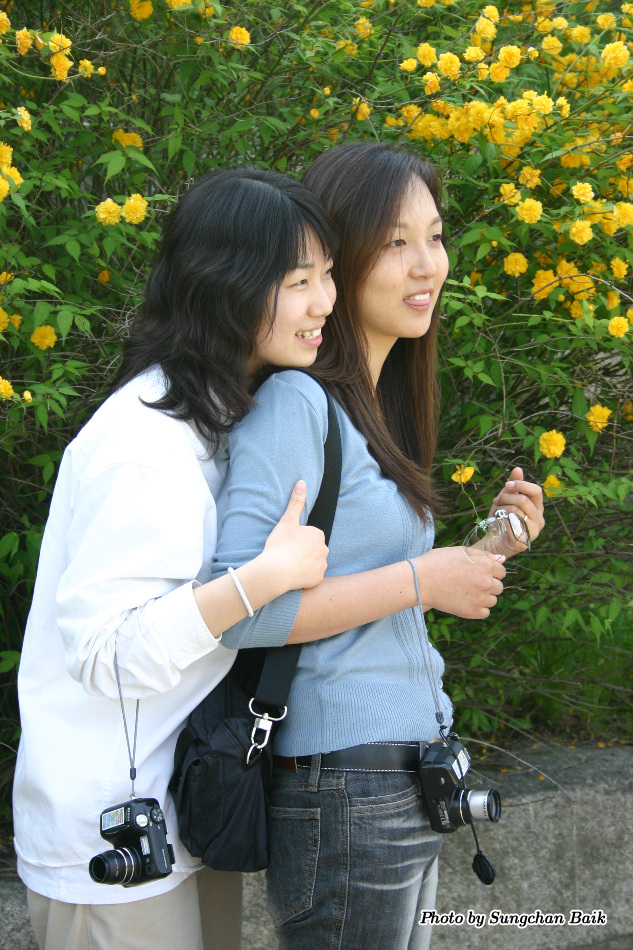 376_7636.jpg