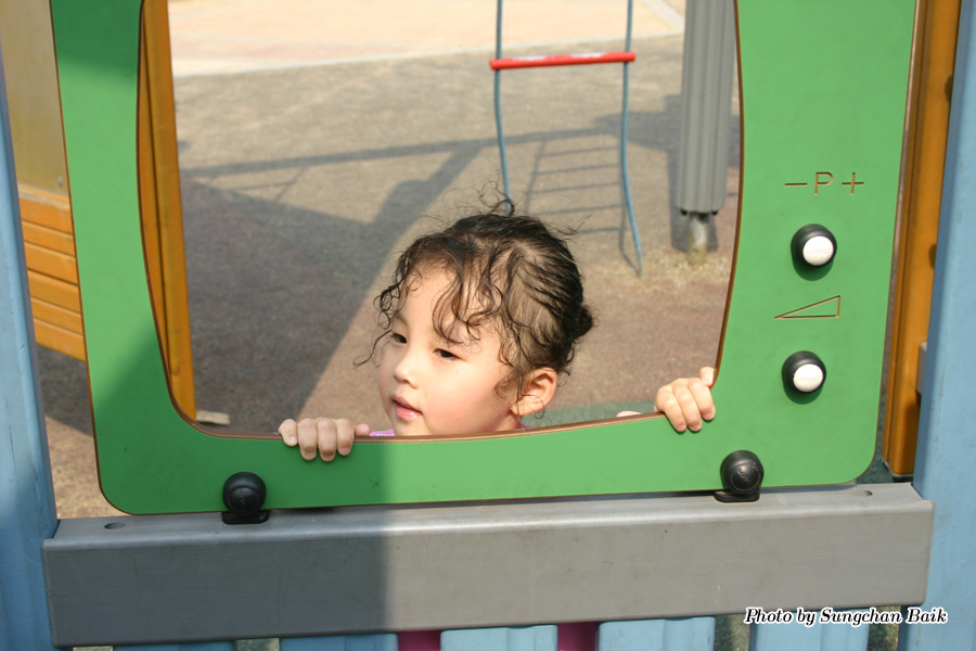 384_8491.jpg