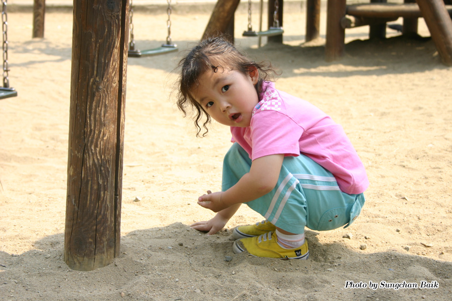 384_8445.jpg