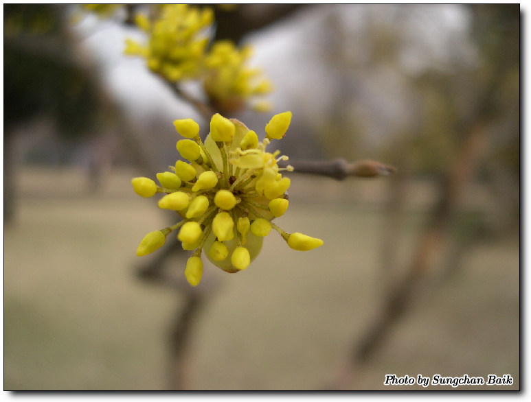 DSCN0127.jpg