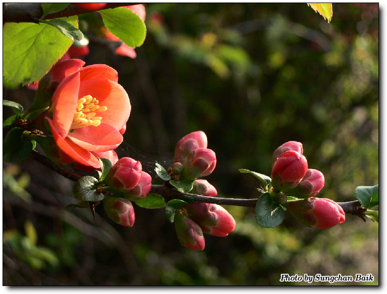 DSCN0871.jpg