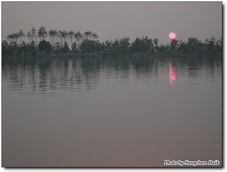 DSCN1652.jpg