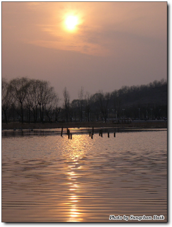 DSCN0570.jpg