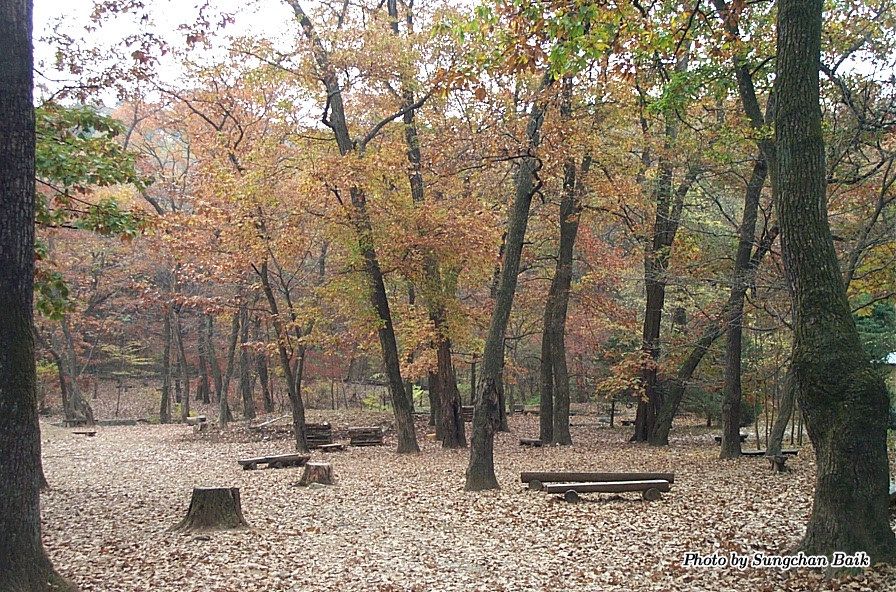 DCP_5206.jpg
