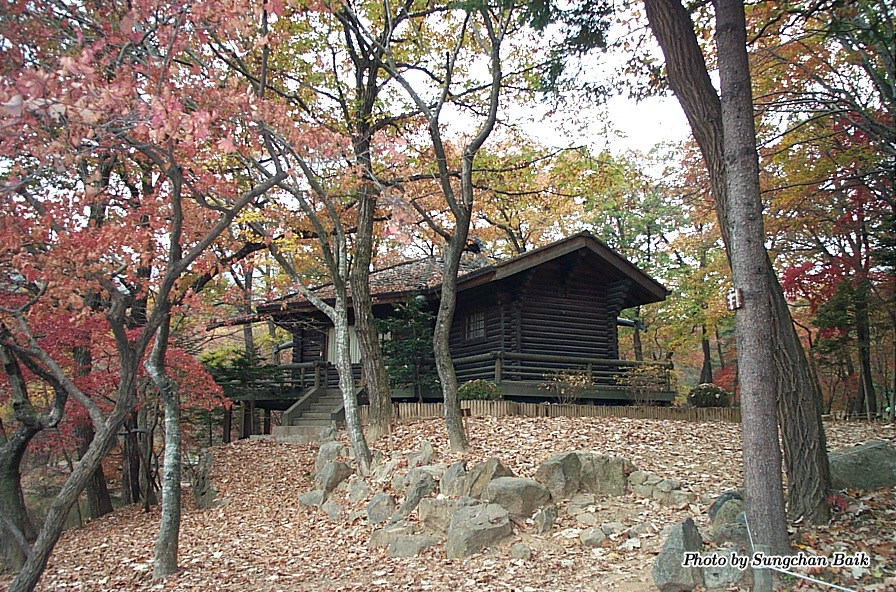 DCP_5210.jpg