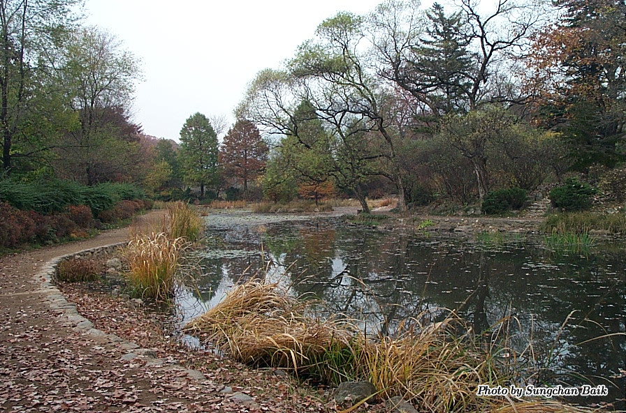 DCP_5235.jpg