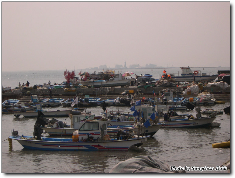 DSCN1662.jpg