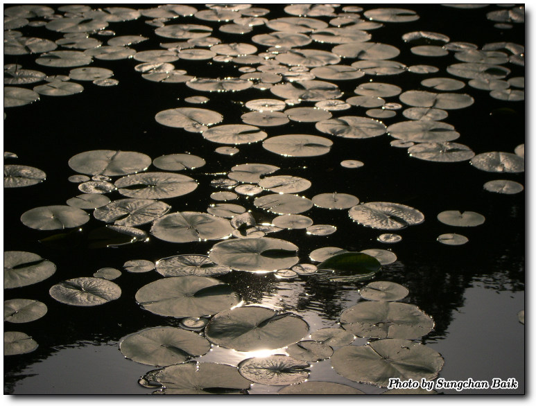 DSCN1816.jpg