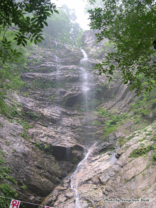DSCN2440.jpg