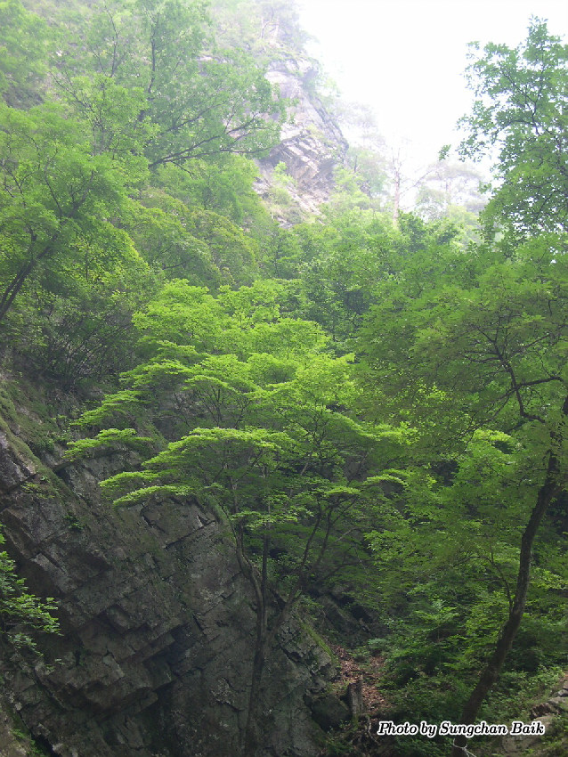 DSCN2454.jpg
