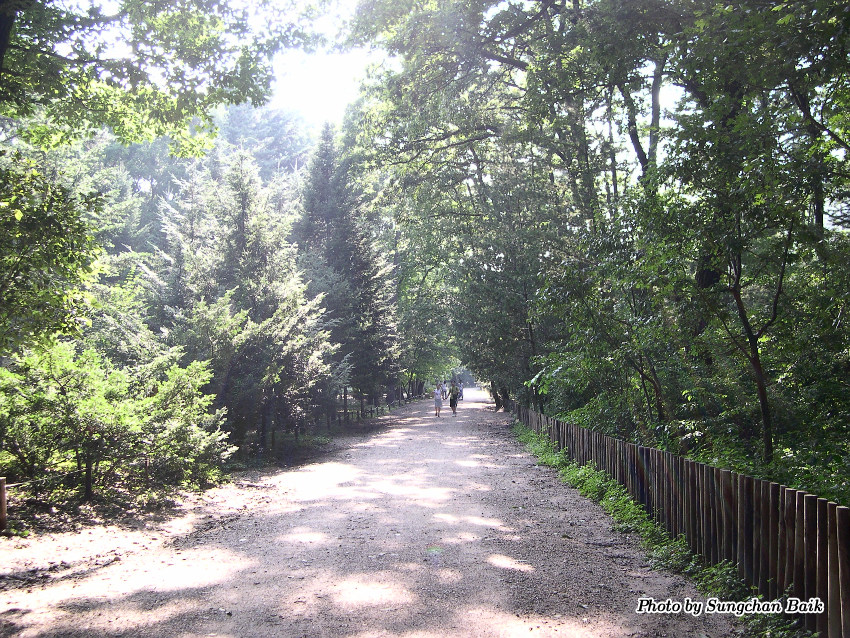 DSCN3860.jpg