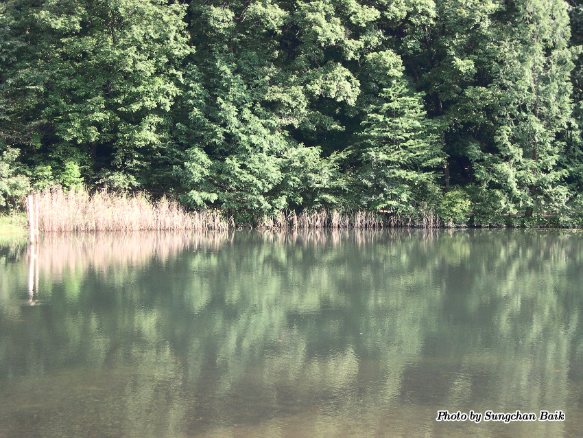 DSCN3863.jpg