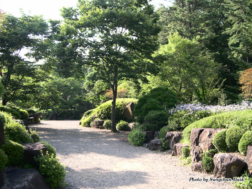 DSCN3878.jpg