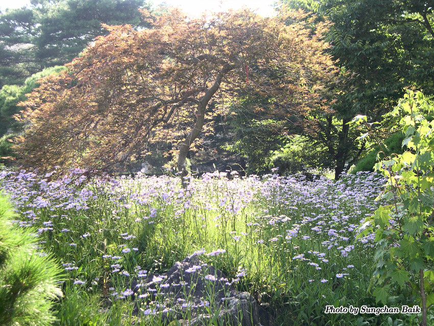 DSCN3879.jpg