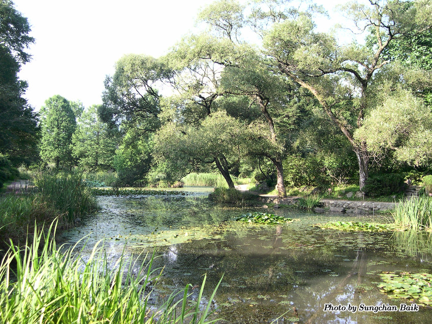 DSCN3897.jpg