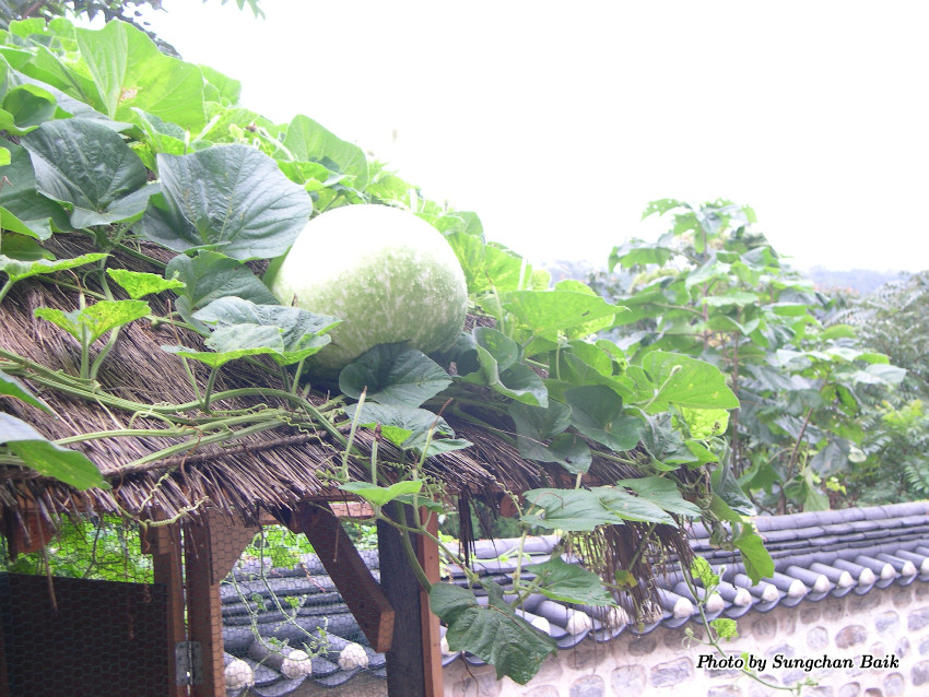 DSCN4719.jpg