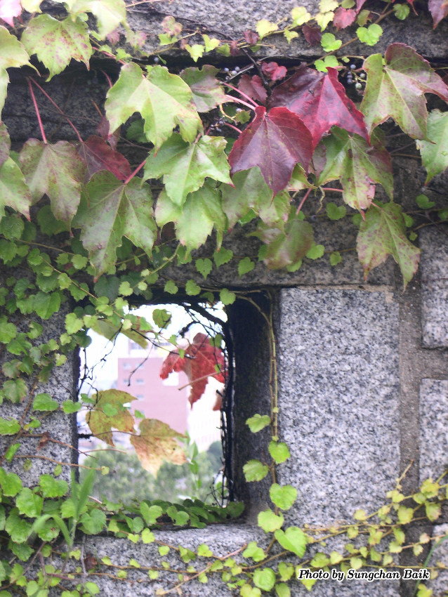 DSCN4900.jpg