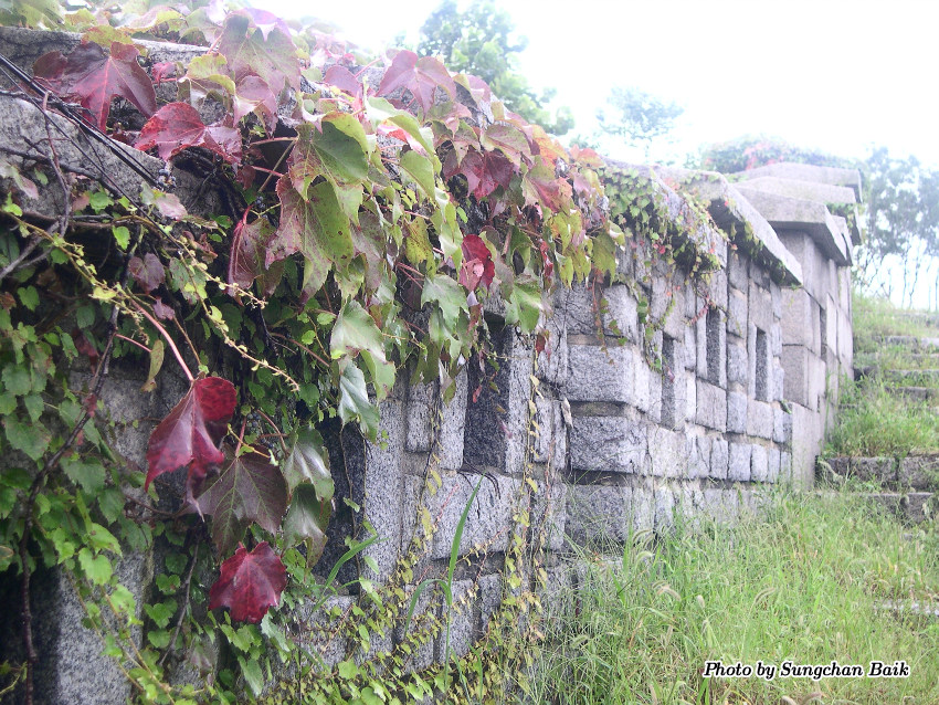 DSCN4901.jpg