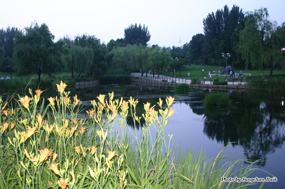 567_6791.jpg