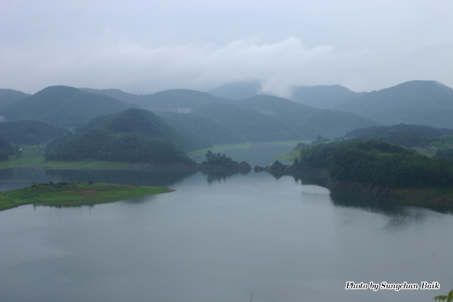 568_6854.jpg